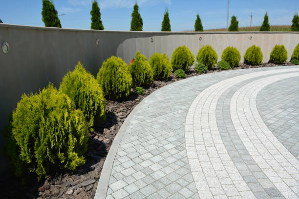 Commercial Driveway Pavers in Winter Gardens, CA